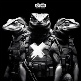 Жизнь по лп Nibus