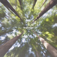 Redwoods - Single - Clifford, Melatone & Noé Mina