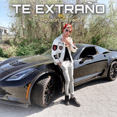 Te extraño - Single