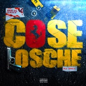 Cose Losche artwork