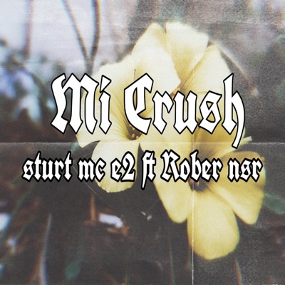 Mi Crush (Remix) [feat. Rober Nsr] - Single