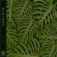 Alright - Single - Fidelitoz & Beatmology