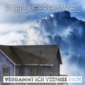 Verdammt ich vermiss dich (Instrumental Version) artwork