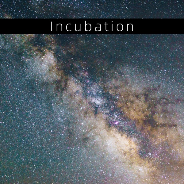 Incubation - EP