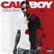 Glow Up (feat. Fredo Bang) - Calboy lyrics