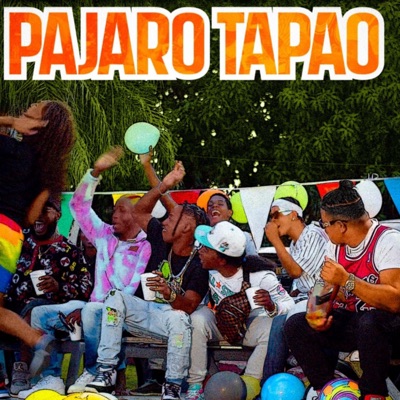 Pájaro Tapao (feat. DJ Solano Produciendo) - Single