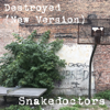 Snakedoctors - Destroyed (feat. Nik Hughes) artwork