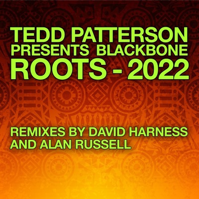 Roots (feat. Blackbone) [2022 Remixes] - Single