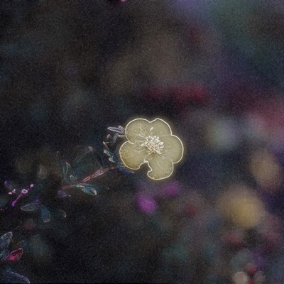 It's Not the Same - Single