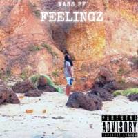 Feelingz - Single - Wass PF