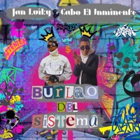 Burlao del Sistema (feat. Gabo El Inminente) - Single - Jan Luiky