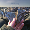 Serenity - Trina Brunk