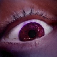 First Time, Forever - Single - Seb Torgus