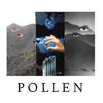Pollen - Prophet