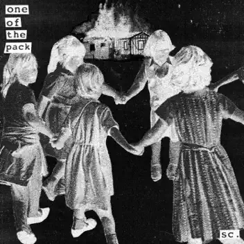 One Of The Pack album cover