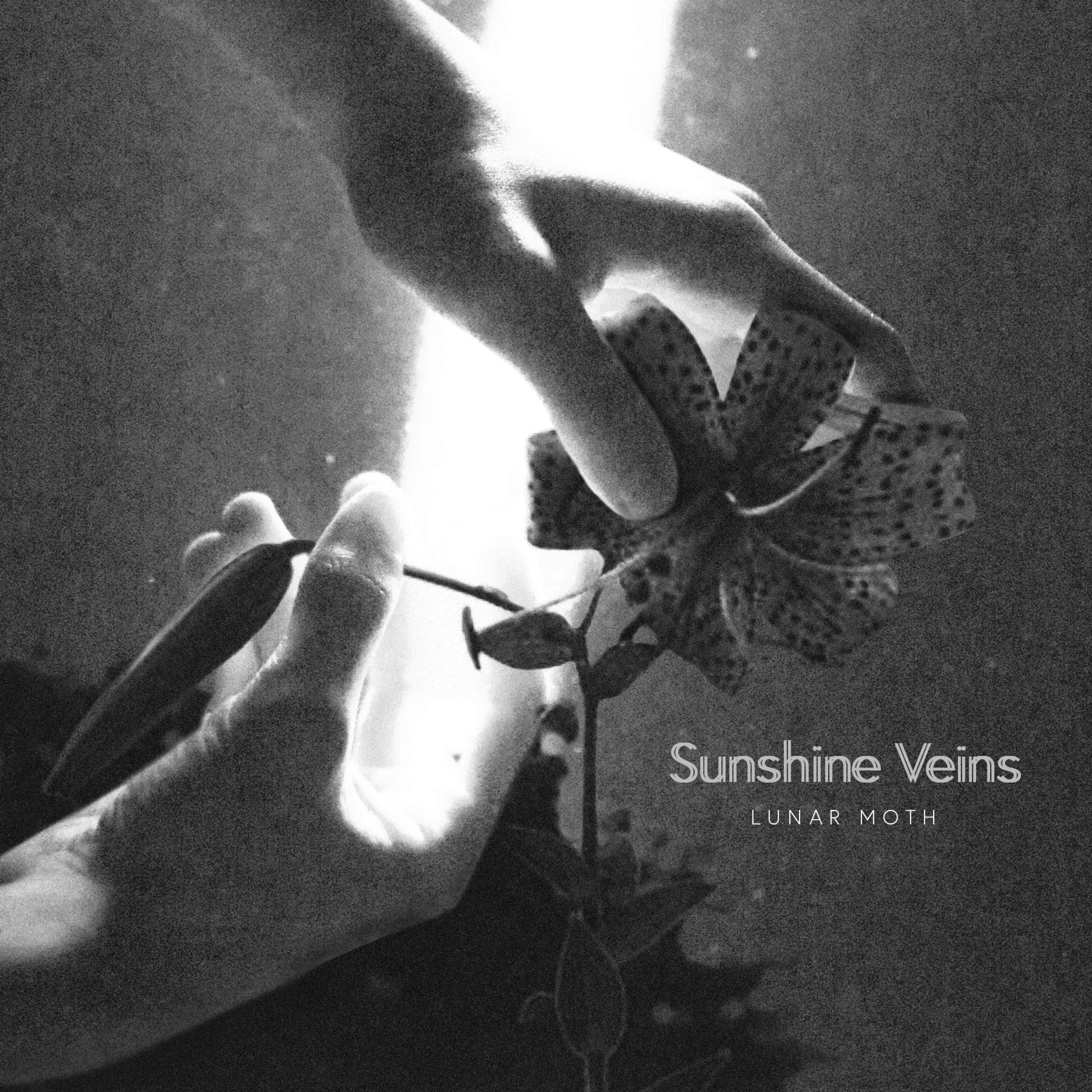 Sunshine Veins - Single
