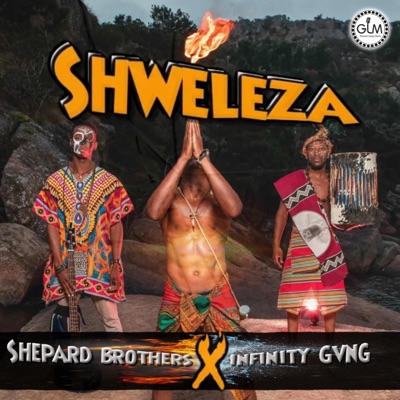 Shweleza (feat. Infinity Gvng) - Single