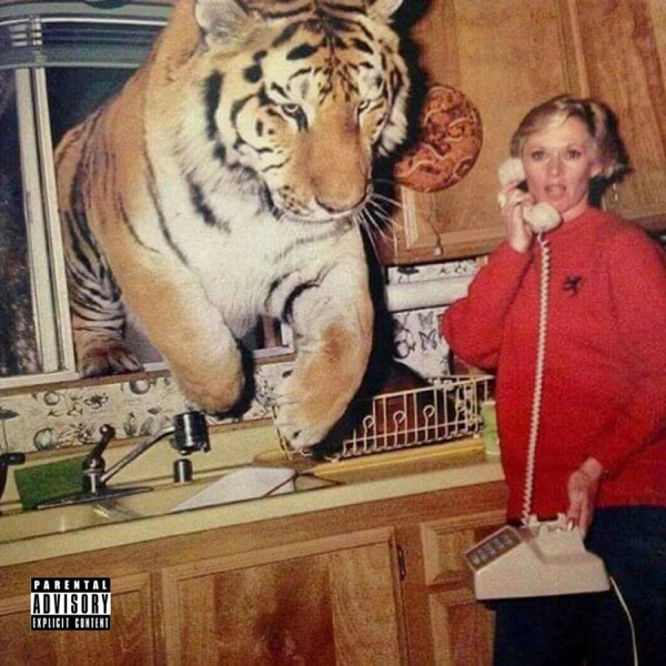 50 Bars +