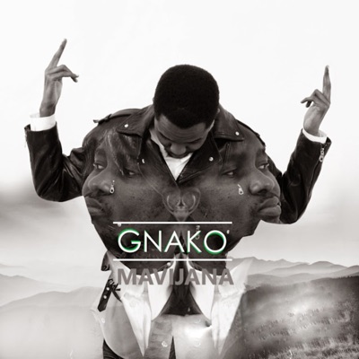 Mavijana (feat. Nikki wa Pili) - Single