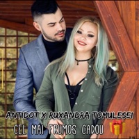 Cel Mai Frumos Cadou (feat. Ruxandra Tomulesei) - Single - Antidot