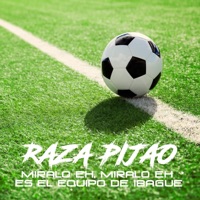 RAZA PIJAO