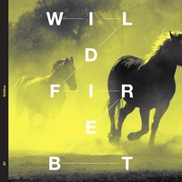 Wildfire - BT