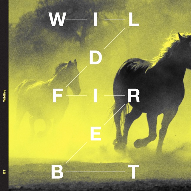 Wildfire (Extended Mix)