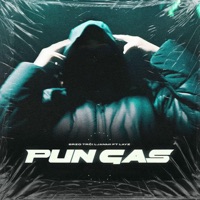 PUN GAS (feat. LayZ) - Single - Brzo Trči Ljanmi