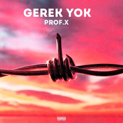 Gerek Yok - Single