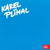 Karel Plíhal