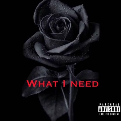 What I Need (feat. Gabethefourth) - Single