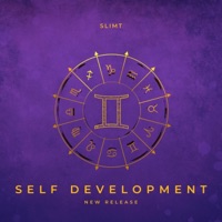 Paid In Full (feat. Toni Tone & Young - King) - Single - SlimT