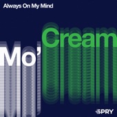 Always on My Mind (Radio Edit) artwork