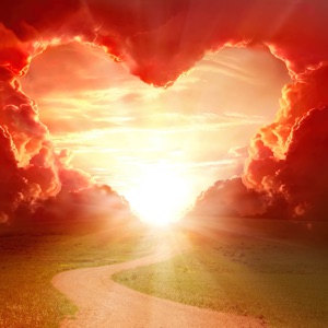 Love Has No Limits - Single