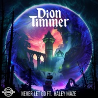 Never Let Go (feat. Haley Maze) - Single - Dion Timmer