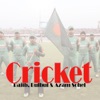 Cricket - Single