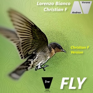 Fly - Single