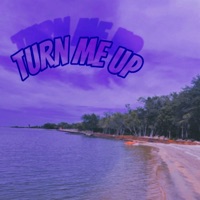 Turn Me Up - Single - Lazarusleaves