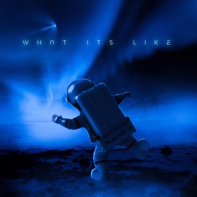 What Its Like - Single