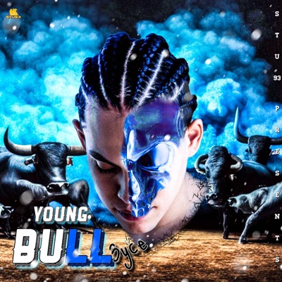 Young Bull
