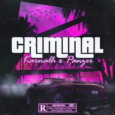 Criminal - Single