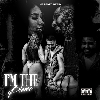 I'm the Blame - Single