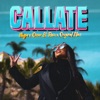 Cállate - Single