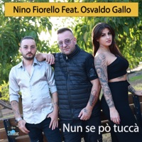 Non se pò tuccà (feat. Osvaldo Gallo) - Single - Nino Fiorello