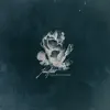 John Abbot - From the Coral Reef