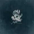 From the Coral Reef
