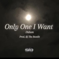 Only One I Want - Single - PrickDidumDirty