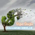 Dallarımı Kırdılar