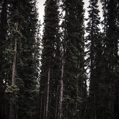 Seppuku (feat. Hellxn) - Single