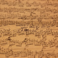 Smokin Round - Single - Sasha Bay